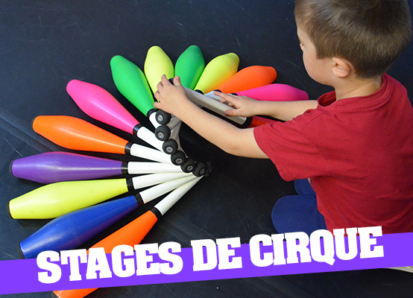 Stages de cirque
